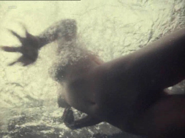 Aleksandra Kolkunova stockings 66 Aleksandra Kolkunova stockings 66