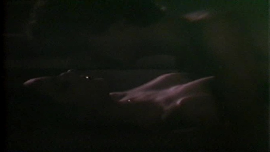 Azucena HernNdez photos between the legs Azucena HernNdez photos between the legs