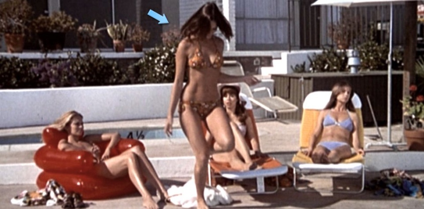 Barbara Leigh exposed ass 49