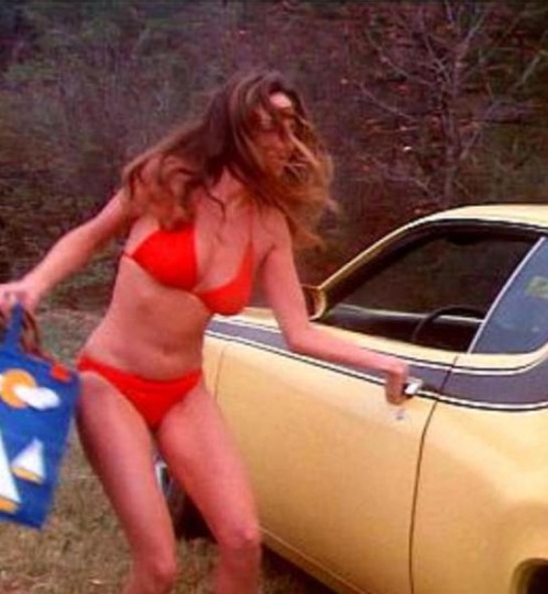 Catherine Bach ass 91