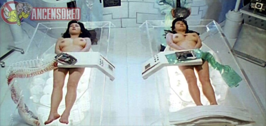 Chikako Aoyama in lingerie 46 Chikako Aoyama in lingerie 46