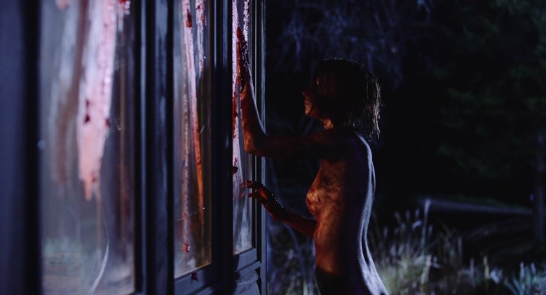 Dal Nicole legs 38 Dal Nicole legs 38