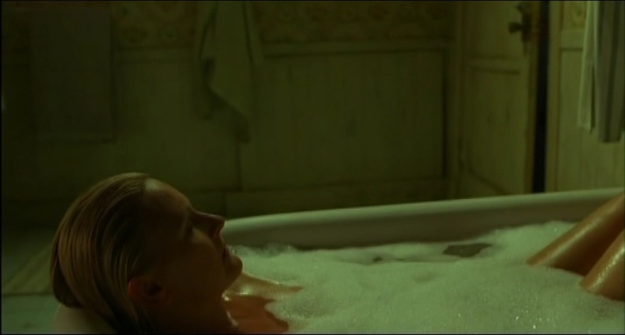 Denise Crosby pantyhose 27