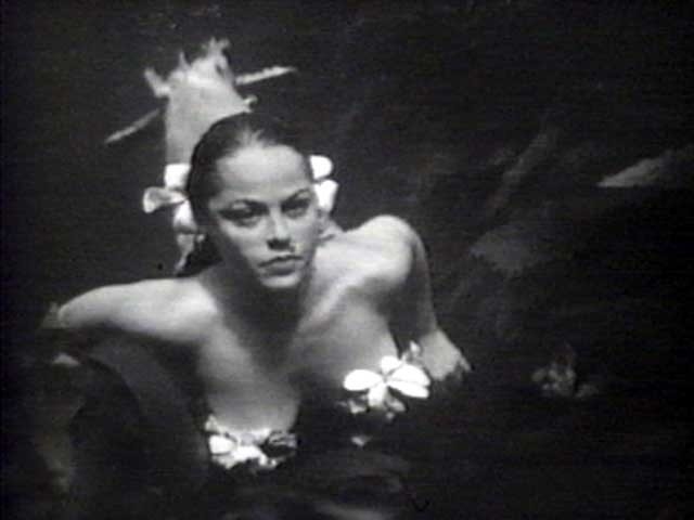 Diane Webber stockings 15 Diane Webber stockings 15