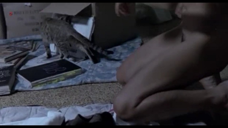 Efi Logginou stockings