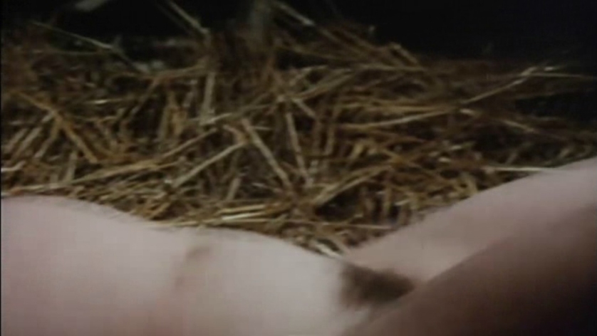 Evane Hanska no panties Evane Hanska no panties