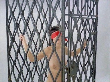 Jarmila Kolenicov boobs 24 Jarmila Kolenicov boobs 24