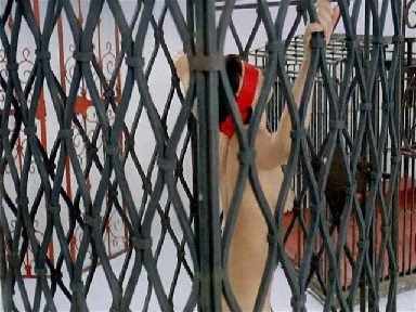 Jarmila Kolenicov boobs 36