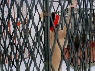 Jarmila Kolenicov in a short skirt breasts Jarmila Kolenicov in a short skirt breasts