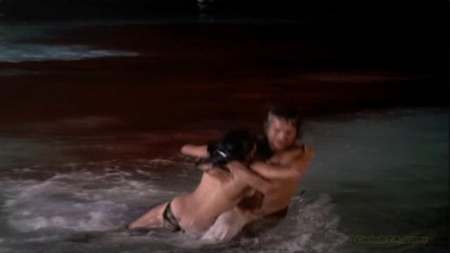 Jennifer Ashley stockings 95 Jennifer Ashley stockings 95