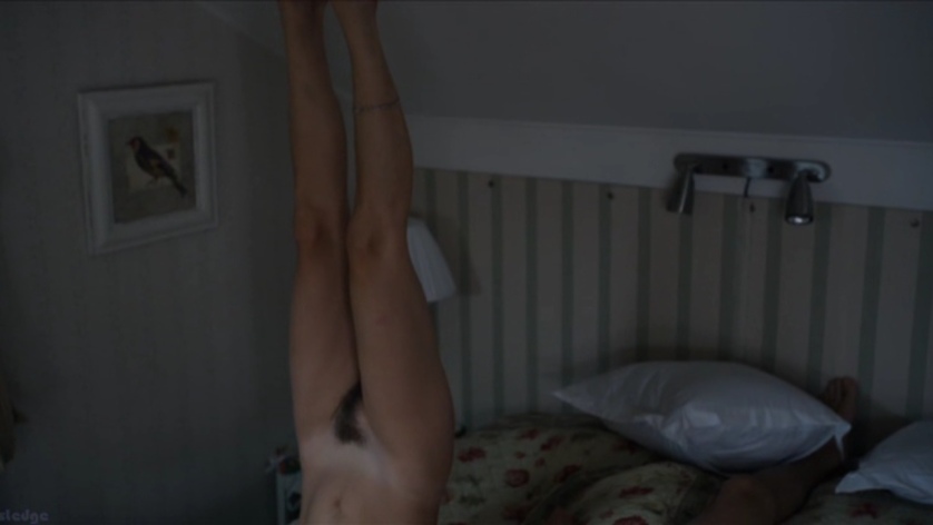 Lisa Werlinder breasts