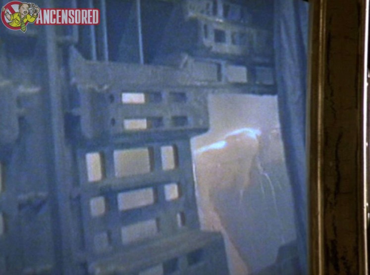 Liz May Brice stockings