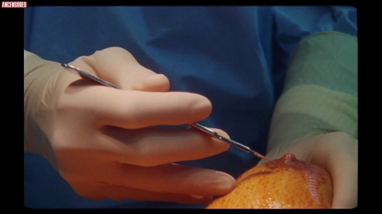 Lucia Passaniti pussy