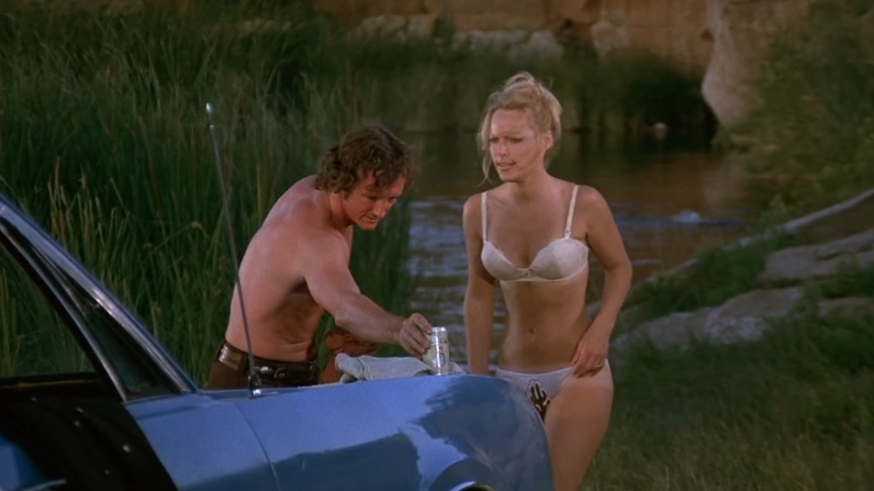 Merrie Lynn Ross pantyhose 99 Merrie Lynn Ross pantyhose 99