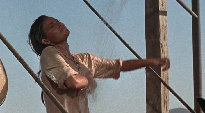 Raquel Welch panties