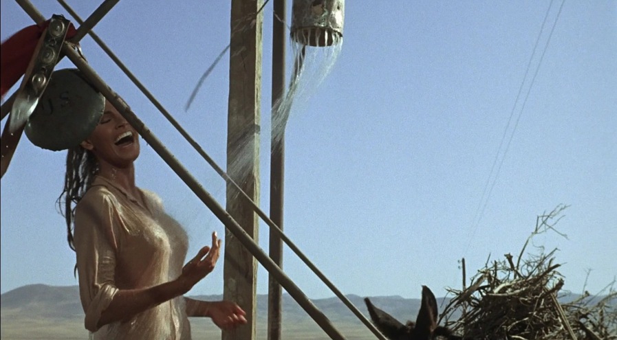 Raquel Welch photos between the legs 25