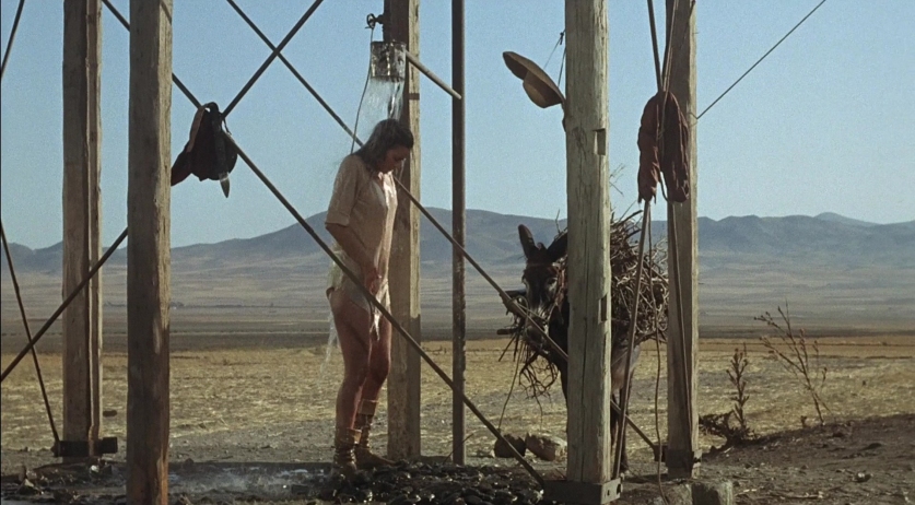 Raquel Welch photos between the legs