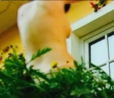 Scarlet Ortiz no underwear 70