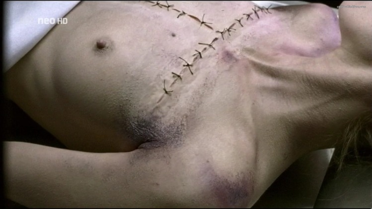 Silvina Buchbauer stockings