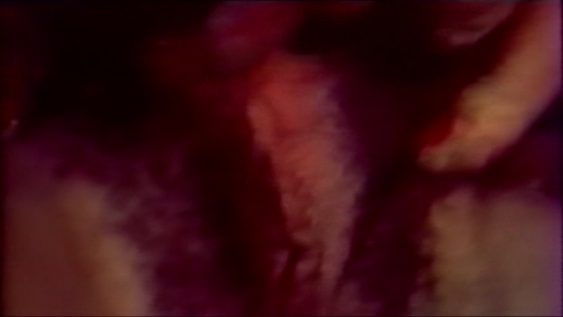 VeroNica Llimera breasts 52